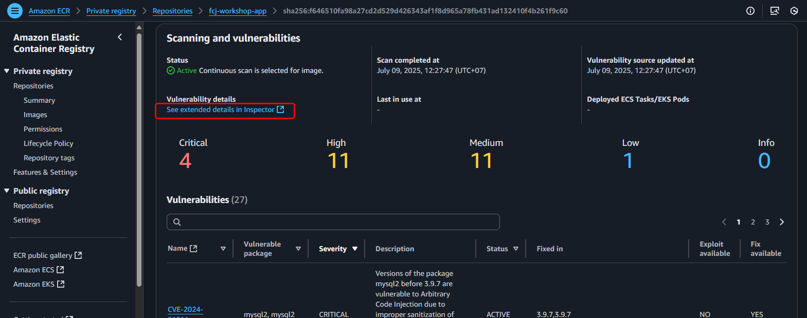 Vulnerability details in ECR